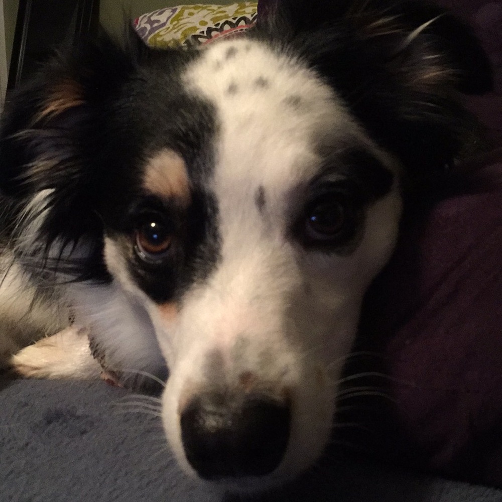 Meet your Posher, Chris